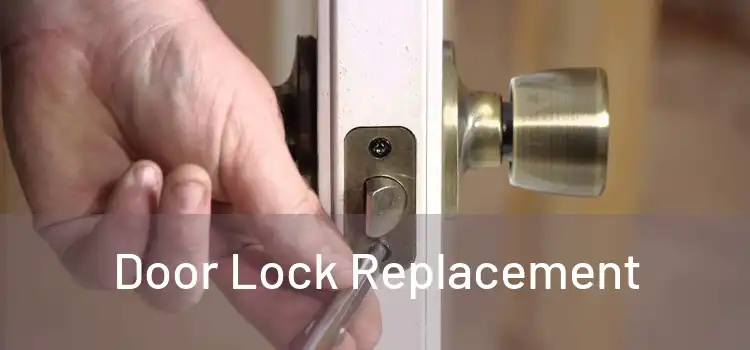  Door Lock Replacement 